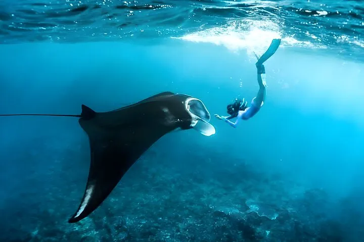 Sharing Snorkeling Manta Bay + West Nusa Penida One Day Trip West